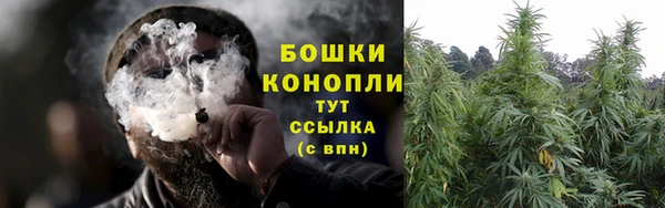 стаф Заводоуковск