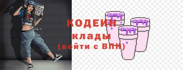 стаф Заводоуковск