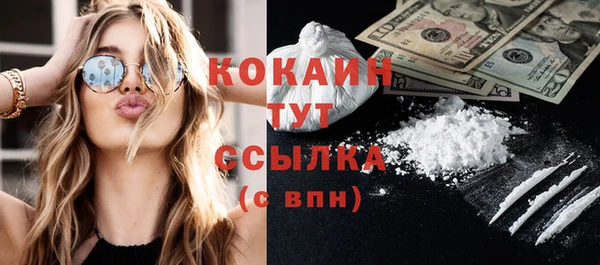 стаф Заводоуковск