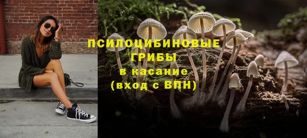 стаф Заводоуковск