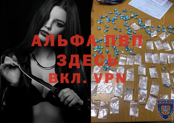 стаф Заводоуковск