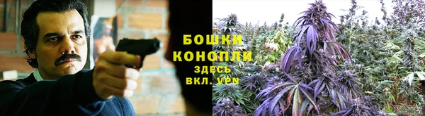 СК Заволжье