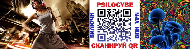 Псилоцибиновые грибы Psilocybe  Саяногорск 