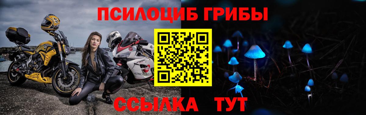 Саяногорск  Галлюциногенные грибы MAGIC MUSHROOMS  Вход с VPN  купить  цена  Псилоцибиновые грибы Cubensis 